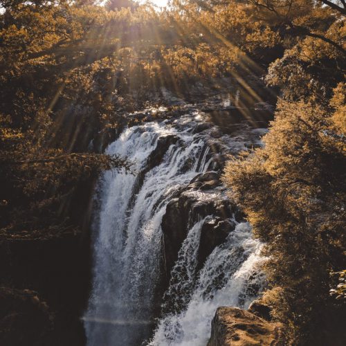 nature