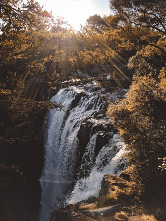 nature