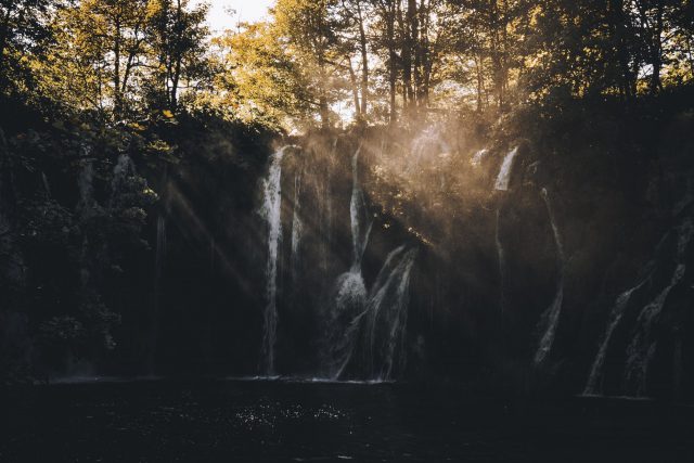 nature