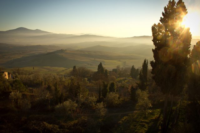 nature